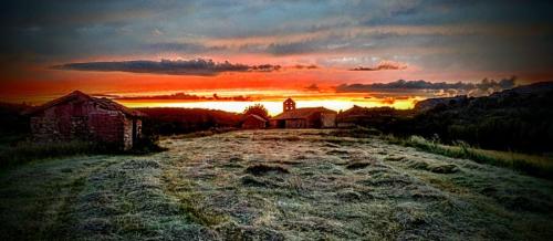 IMG-20240830-WA0001