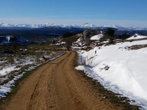 Paisaje-nevado-36